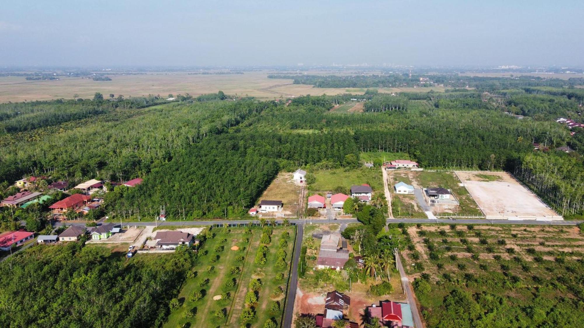 Minimalist Homestay D Pokok Sena Exterior photo